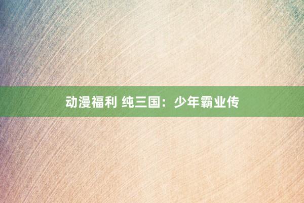 动漫福利 纯三国：少年霸业传