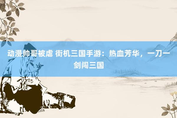 动漫帅哥被虐 街机三国手游：热血芳华，一刀一剑闯三国