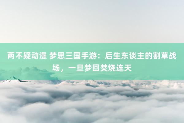 两不疑动漫 梦思三国手游：后生东谈主的割草战场，一旦梦回焚烧连天