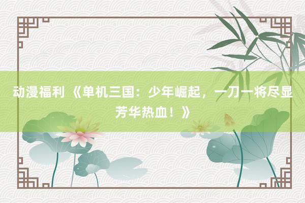 动漫福利 《单机三国：少年崛起，一刀一将尽显芳华热血！》