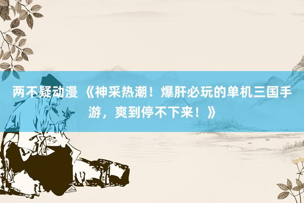 两不疑动漫 《神采热潮！爆肝必玩的单机三国手游，爽到停不下来！》